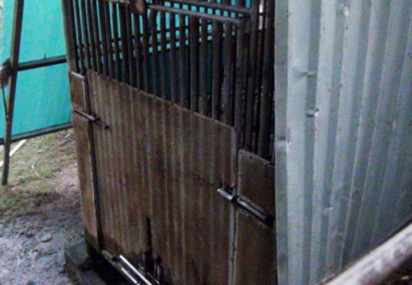 家中养100公斤黑熊当宠物 越南3岁男童右手惨遭咬断