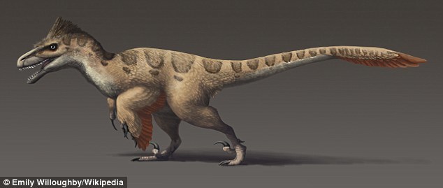 犹他盗龙是驰龙科(dromaeosaurs,意为“奔跑的蜥蜴”)中体型最大的成员。