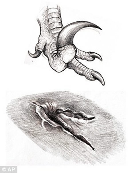 这种脚趾类似犹他盗龙的恐龙,在犹他州摩押的北部留下了足迹。