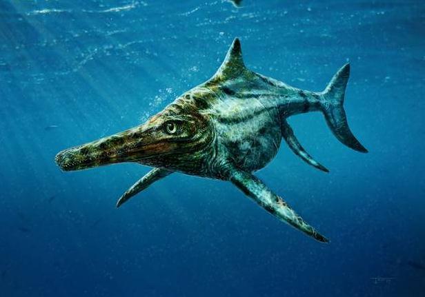 在恐龙时代,苏格兰海域被这种摩托艇大小的海洋爬行动物所统治。