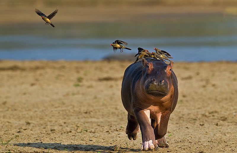 һ������£�������ţ����ǹ�ϵ�ǳ��õĻ�顣