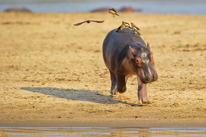 ��Ӱʦ��С������������ЩС���10���ӣ�����Ŵ���������