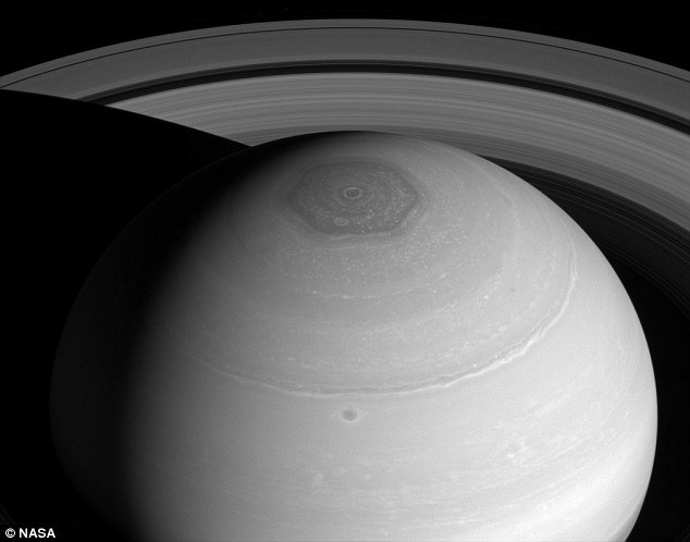 һоɹֲһĵάȺڵ10ߡСȡá˴νеļ˿ѧҶǹ˽⣬Ϊ