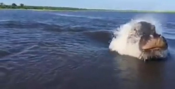 �ޱ��ǿ��������ҹ�԰��������׷���ͧ