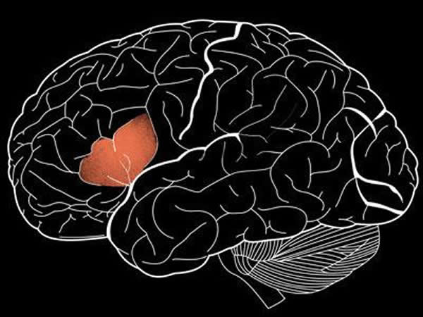 ���������һ����Ϊ��򨲻�Գƿ�(STAP)�����Թ����������