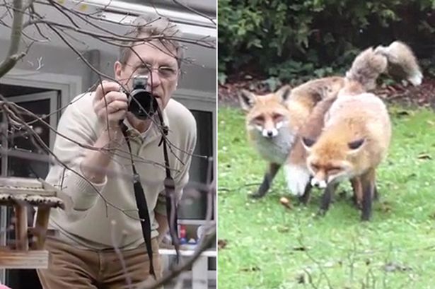 2ֻ�����ں�԰����̫�� �¹����ӱ���