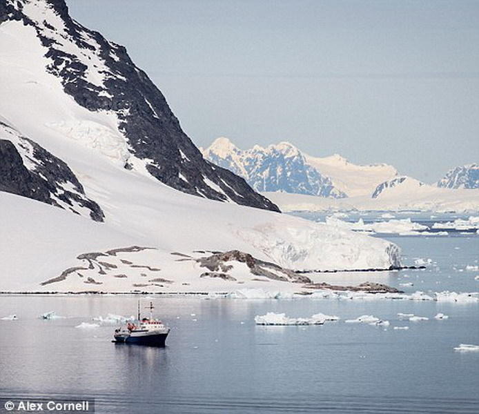 ��Щ������Ƭ�ǿ��ζ��������׿˺�Ͽʱ����ġ�