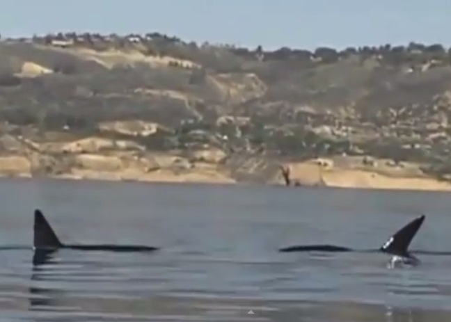 ɱ˾ı¶ˮ棬ŵó˿ʧС