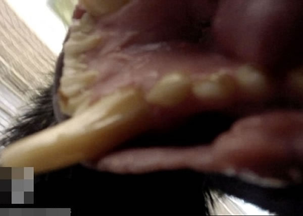 ������¶�����еļ���