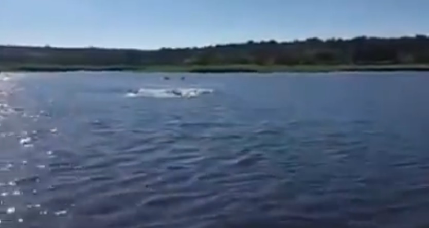 ��ͧԶ����������