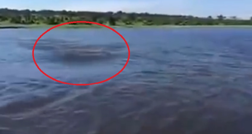 ˮ�׺�Ӱ(��Ȧ)�����ƽ���ͧ