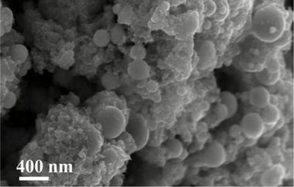 飞秒激光在金属表面刻蚀出的层次结构,如铂表面在扫描电子显微镜(SEM)下的图片所示