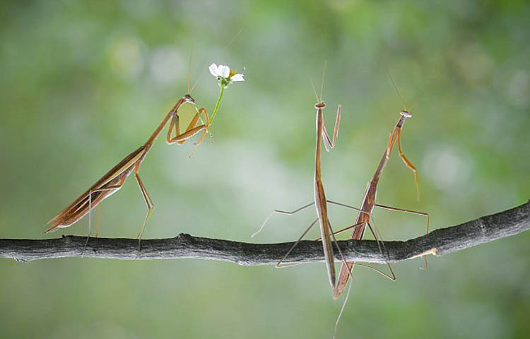 �����������Ȼ�߸�վ�ţ�������ֻ����ƺ���˵���Ļ���