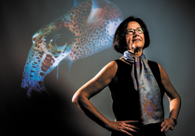 Margaret McFall-Ngai:乌贼是绝佳的实验室动物