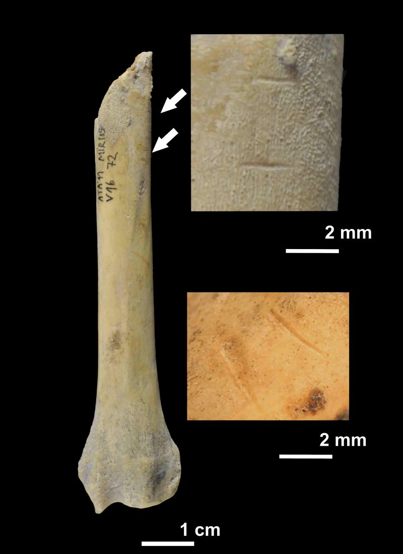 о3000ǰŷ˵ȾɱĹèꡢ⵵ȶΪʳ