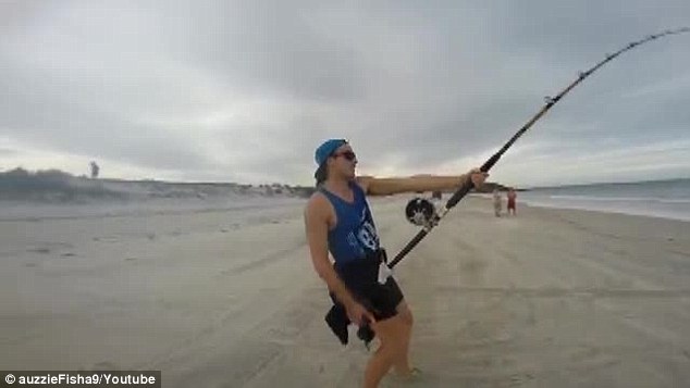 澳洲男子海边垂钓居然钓起一条3公尺长的短尾真鲨