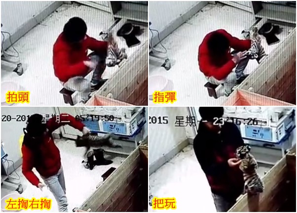 �����Ƶ��������Ա��С����������Ű���׻��Ĺ���