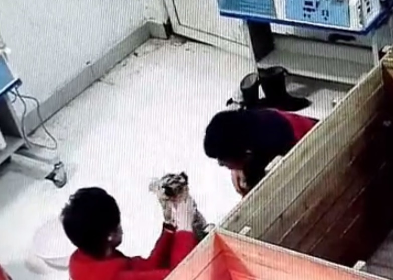 �������µ�����Ա�������Դ�ͬ�ǹ�����Ա���ң�����С�������ң����ϰ����׻���