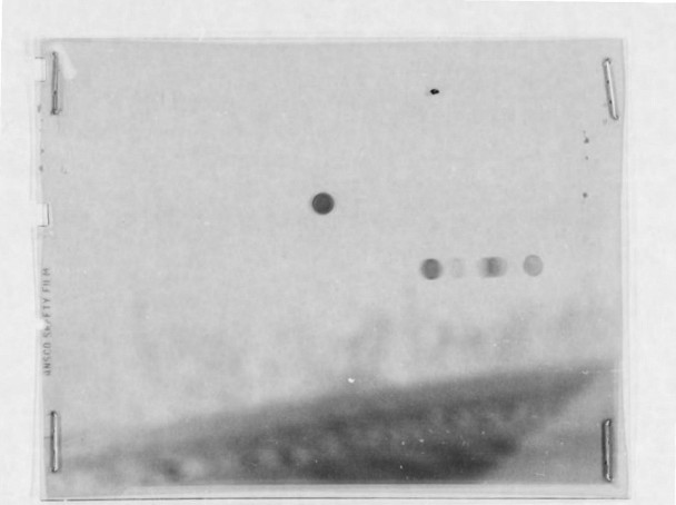 罗斯韦尔曾有数个圆形物在空中出现