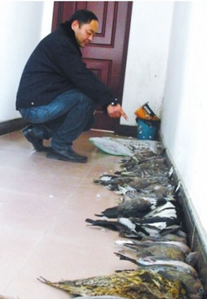 河南省漯河市森林公安局抓获非法捕猎49只野生动物的嫌疑人