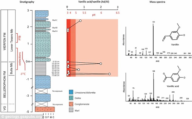 意大利2.5亿年历史岩石意外发现内有香草醛 助解生物大灭绝之谜
