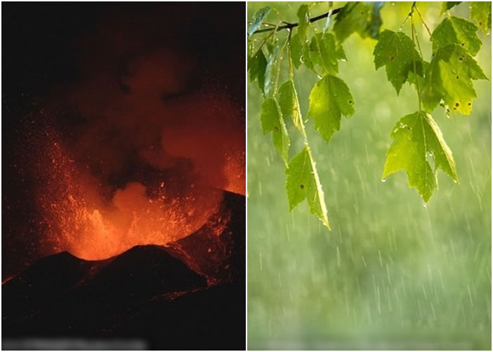 火山爆发导致酸雨,令微生物失去功能,影响植物生长。