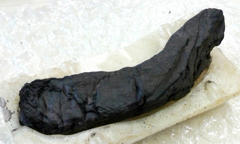 透过X光技术可望解读意大利两千年前被维苏威火山烧黑的古卷内容