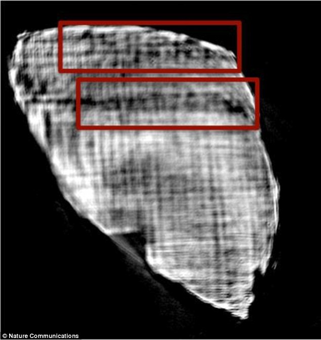 透过X光技术可望解读意大利两千年前被维苏威火山烧黑的古卷内容