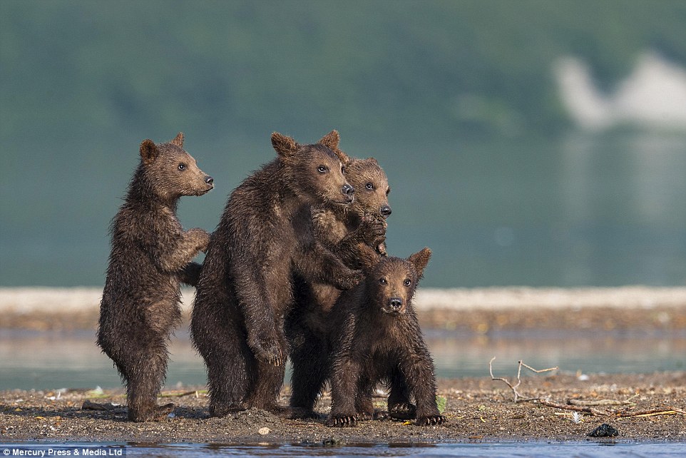 ˹ǧӰʦSergey Ivanov㵽ͷܱڰ߹ۿְֲܰĳӷǳɰ