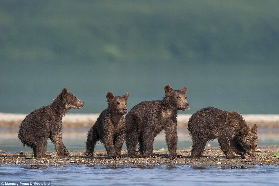 ˹ǧӰʦSergey Ivanov㵽ͷܱڰ߹ۿְֲܰĳӷǳɰ