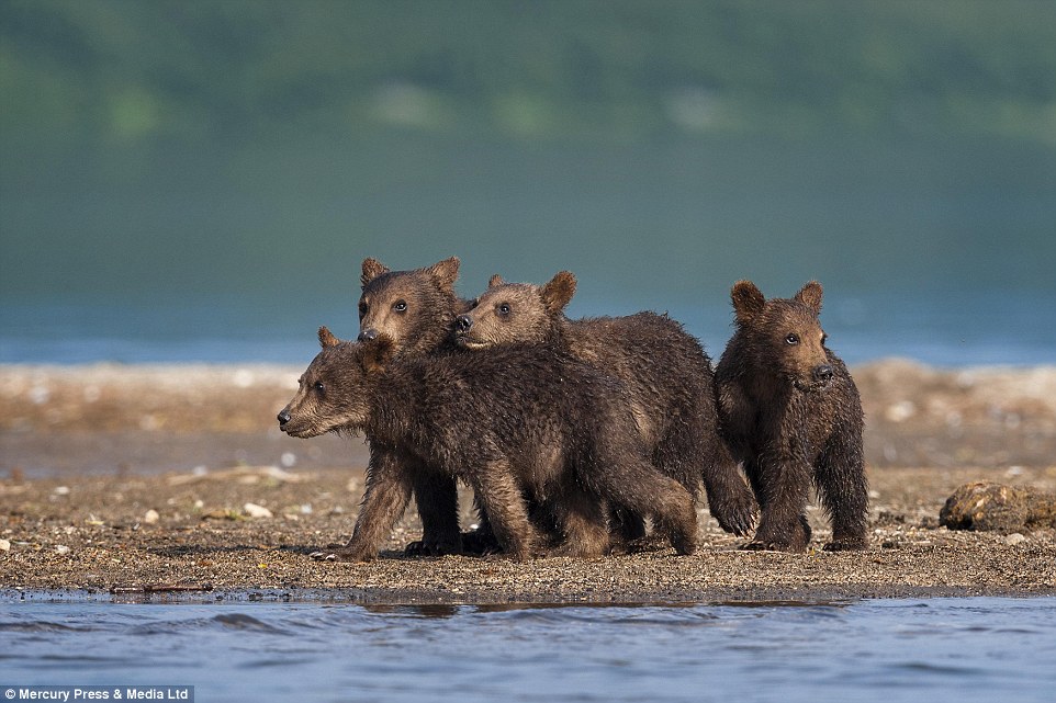 ˹ǧӰʦSergey Ivanov㵽ͷܱڰ߹ۿְֲܰĳӷǳɰ