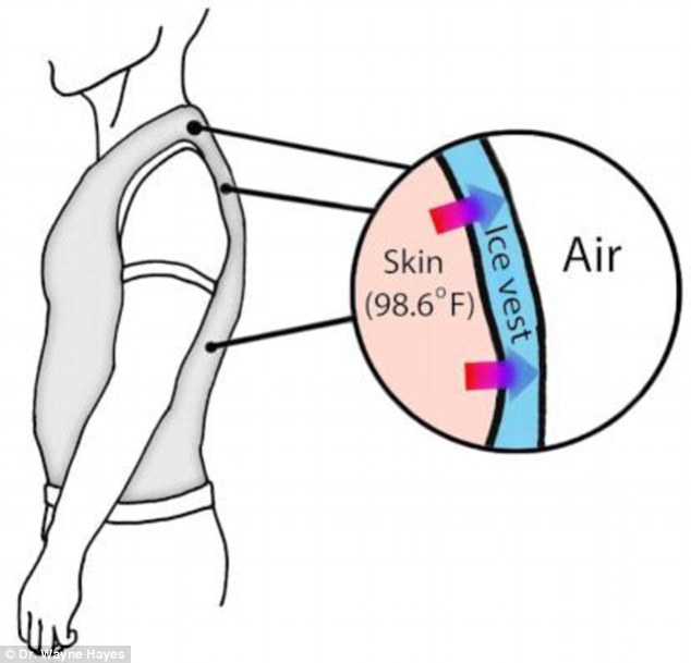 科学家发明减肥“冰马甲”(ice jacket)