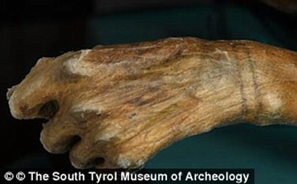 ���´ġ�����������������