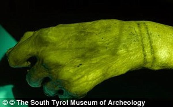 ���´ġ�����������������