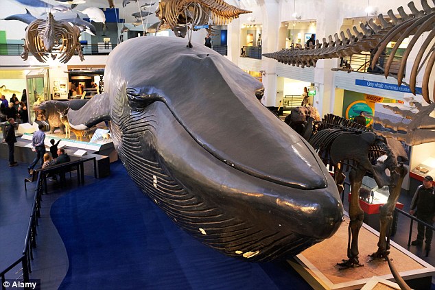 ����ȡ������������ģ�ͣ�������2017������조��ְ����