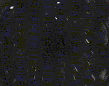 λڼ̫ƽ޷ϵ˹̹ս˹վĿѧһξ˵Ƶ׽˾ͺ鱤巢ɫ⡱ĺ龰ƵлʾＫ