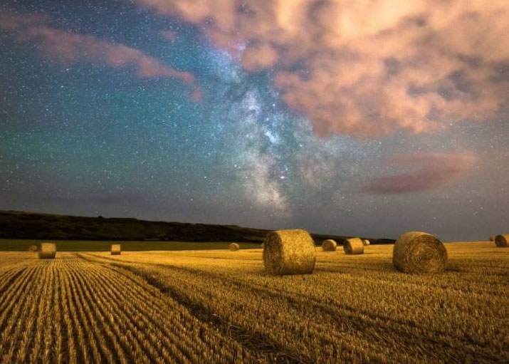 �ǿ��µĻ��ص���壬����������һƬ���ס�