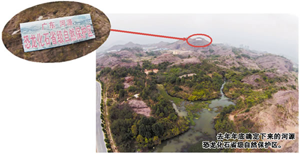 广东河源1.3平方公里恐龙化石省级自然保护区范围敲定