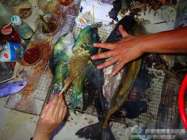 �ο�����ɳ����ġ�����տ�