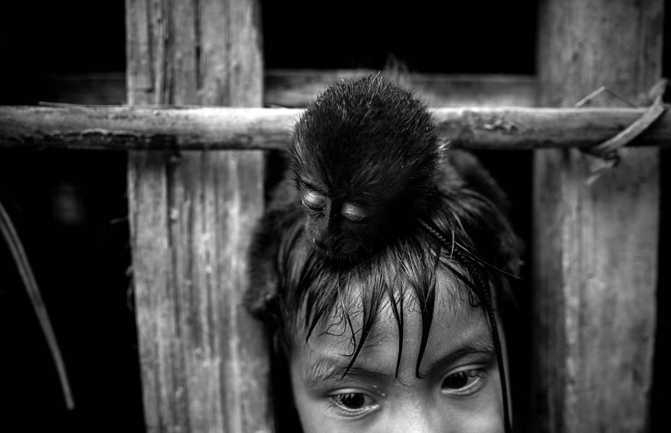 Awa-Guaja部落成员Apartya养了一只猴子当宠物。图中,猴子正趴在他的头上。