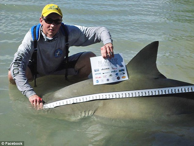 美国佛罗里达州举办合法捕鲨活动却玩死可怜双髻鲨