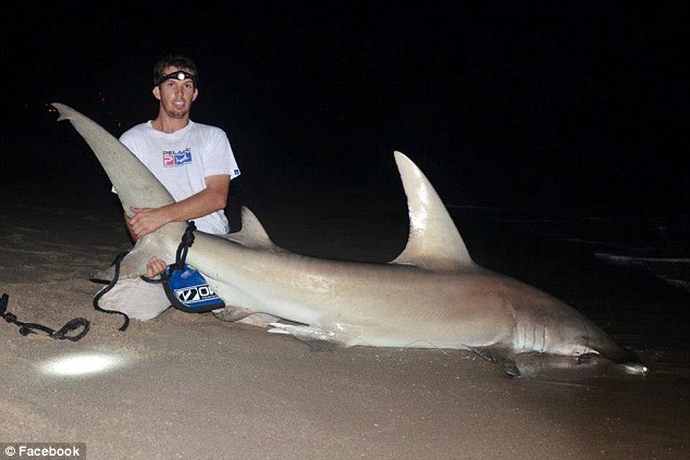 美国佛罗里达州举办合法捕鲨活动却玩死可怜双髻鲨