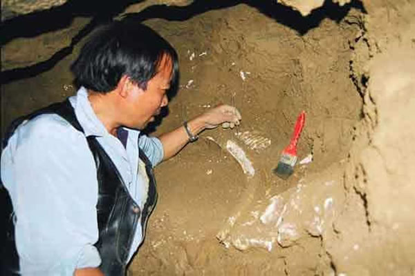 ����ѧ�����Թ������ھ�ʯ