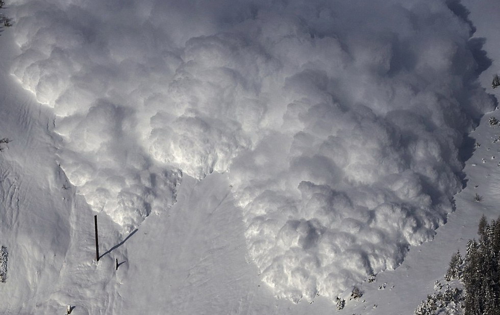 ʿѩоĿѧǰըҩʿģѩԱоԤѩ¼