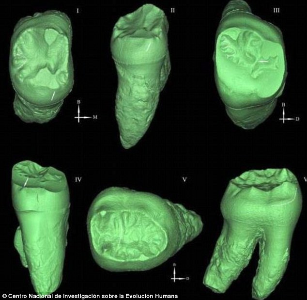 山西省发现的一些古人类化石很能是亚洲另一个新的早期人种