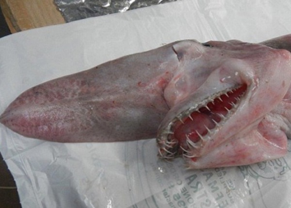 ŷ�ϼ���������ϸ�ܼ����