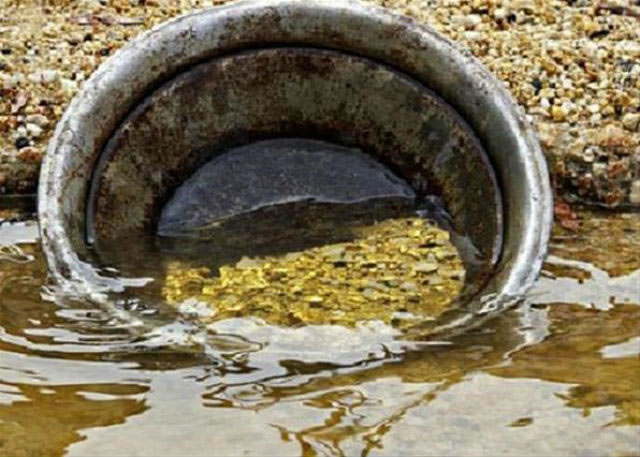 原始生物可能在地球上迄今所知最大的金矿形成中扮演过关键角色