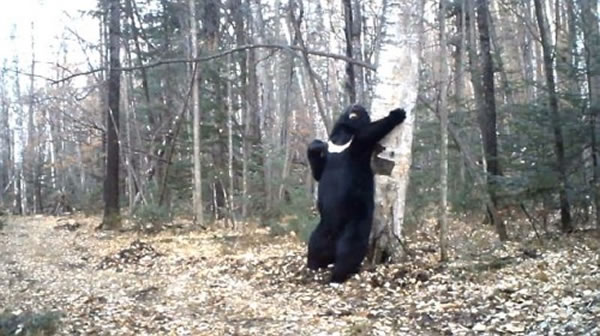 ����˹��������˹�п�һֻ���������֡����ֹ��衱