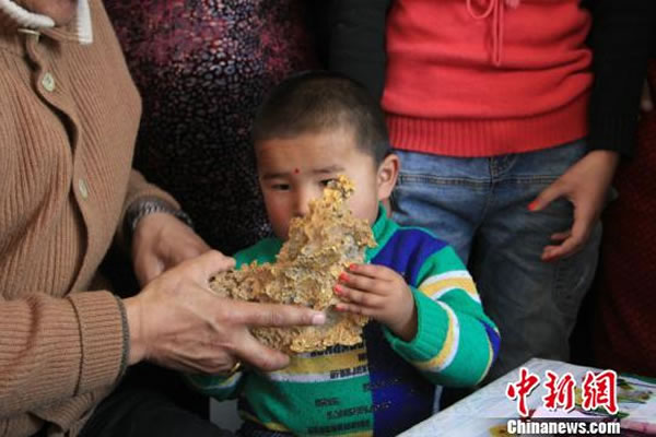 新疆青河县牧民意外捡到重7.85公斤公斤酷似中国地图的狗头黄金