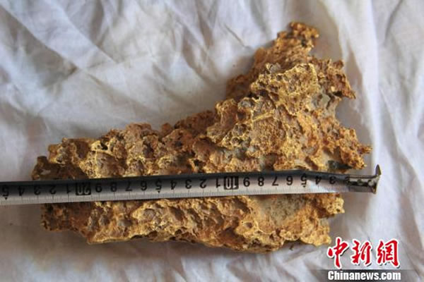 新疆青河县牧民意外捡到重7.85公斤公斤酷似中国地图的狗头黄金